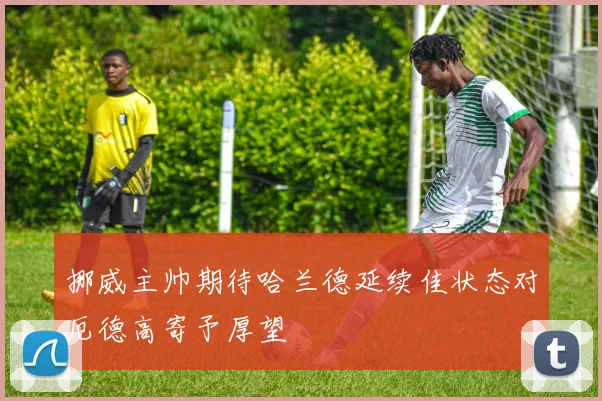 挪威主帅期待哈兰德延续佳状态对厄德高寄予厚望